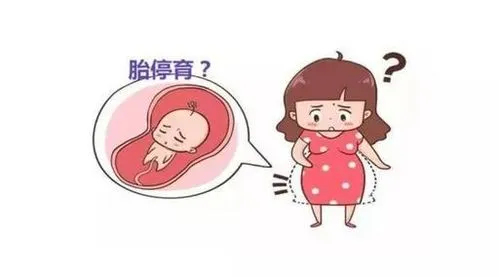 怀孕时体温下降会导致流产吗？怀孕期间体温下降有什么风险？