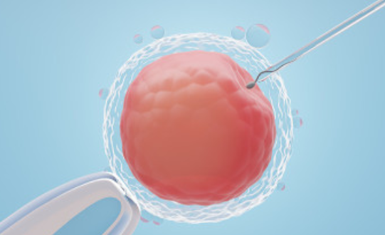 常德合法供卵生子流程-试管婴儿在私人诊所