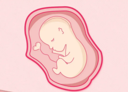 济宁助孕中介流程：最有可能导致胎儿流产的