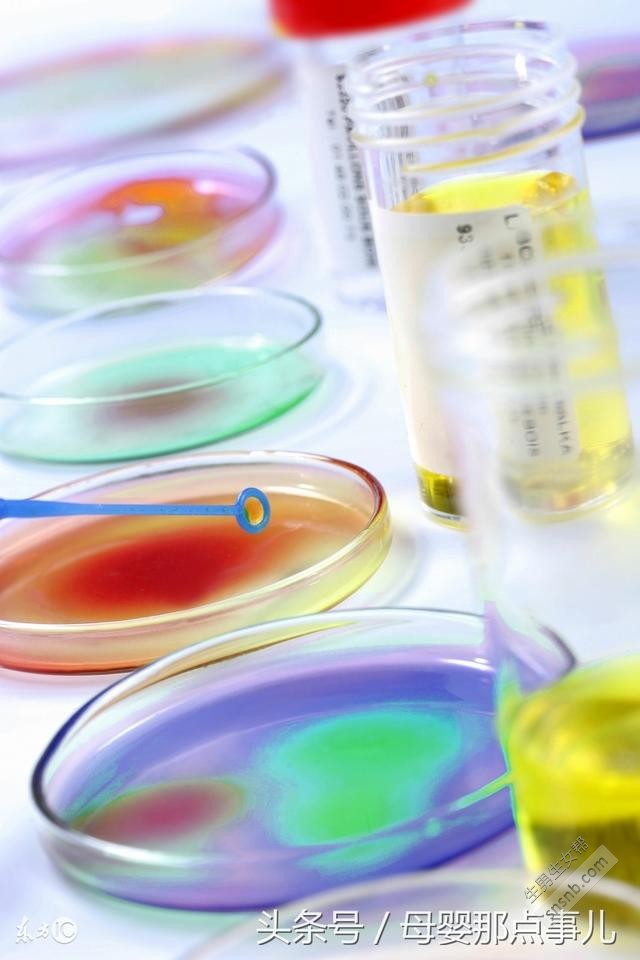 探索美国IVF胚胎实验室