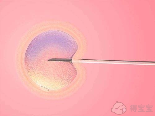 试管婴儿的缺陷率高吗：解冻的试管婴儿胚胎