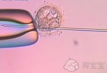 兰州代生公司微信群：精子不液化应该吃什么