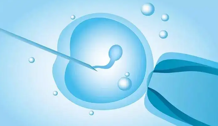 上海供卵中介助孕：在青海哪些医院可以做供