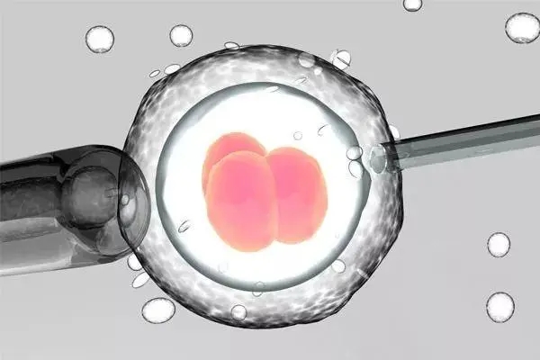济宁借卵试管包男孩多少钱：在泰国做试管婴儿移植男性胚胎时，保证100%的男孩是可信的吗？