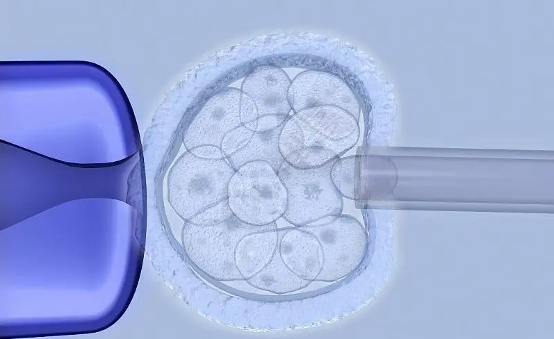 福州合法助孕包成功费用：试管婴儿胚胎不能