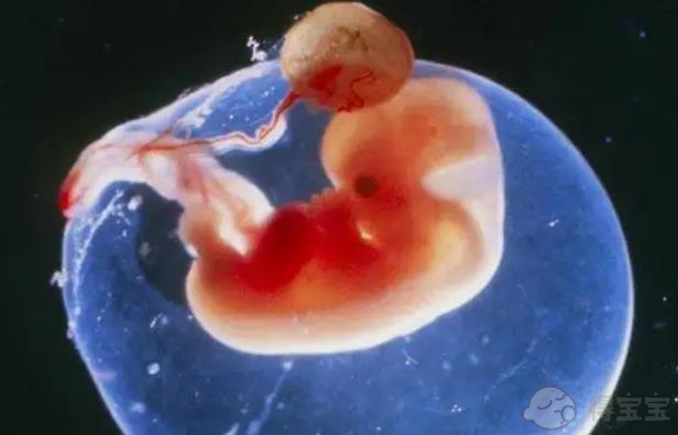 深圳助孕群-囊胚移植后第11天做早孕检查