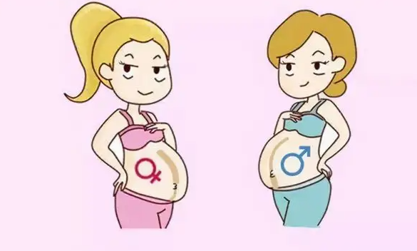 绍兴41岁助孕男孩：如何预测胎儿的性别以