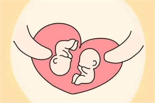 临沂合法供卵包成功套餐-在试管婴儿中如何进行囊胚培养？囊胚培养的优势是什么？