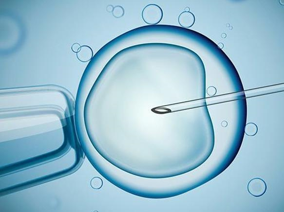 郑州合法助孕成功率：提高高龄试管婴儿成功