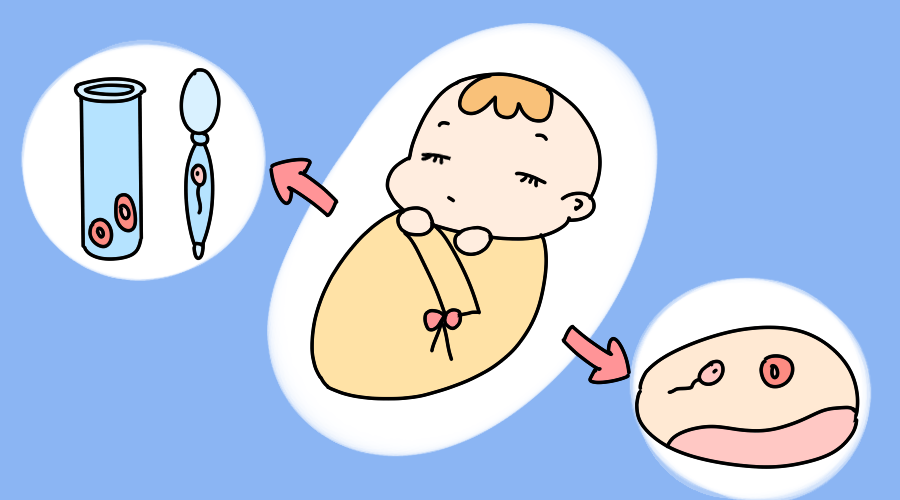 菏泽合法供卵收费标准-捐赠卵子的试管婴儿
