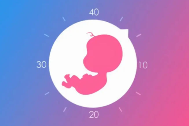 滁州助孕中介联系方式：我们向你介绍私人试管婴儿，并告知你另一种助孕方式的情况。