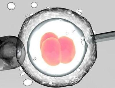 徐州供卵助孕高端机构：这篇文章解释了优势卵泡的特点，它的受孕机会较高。